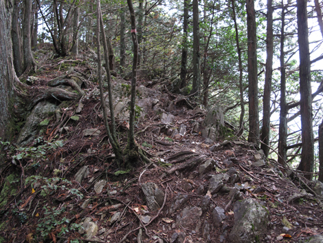 20181009hike (134)